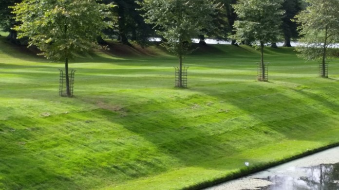 20140927_124818.jpg image