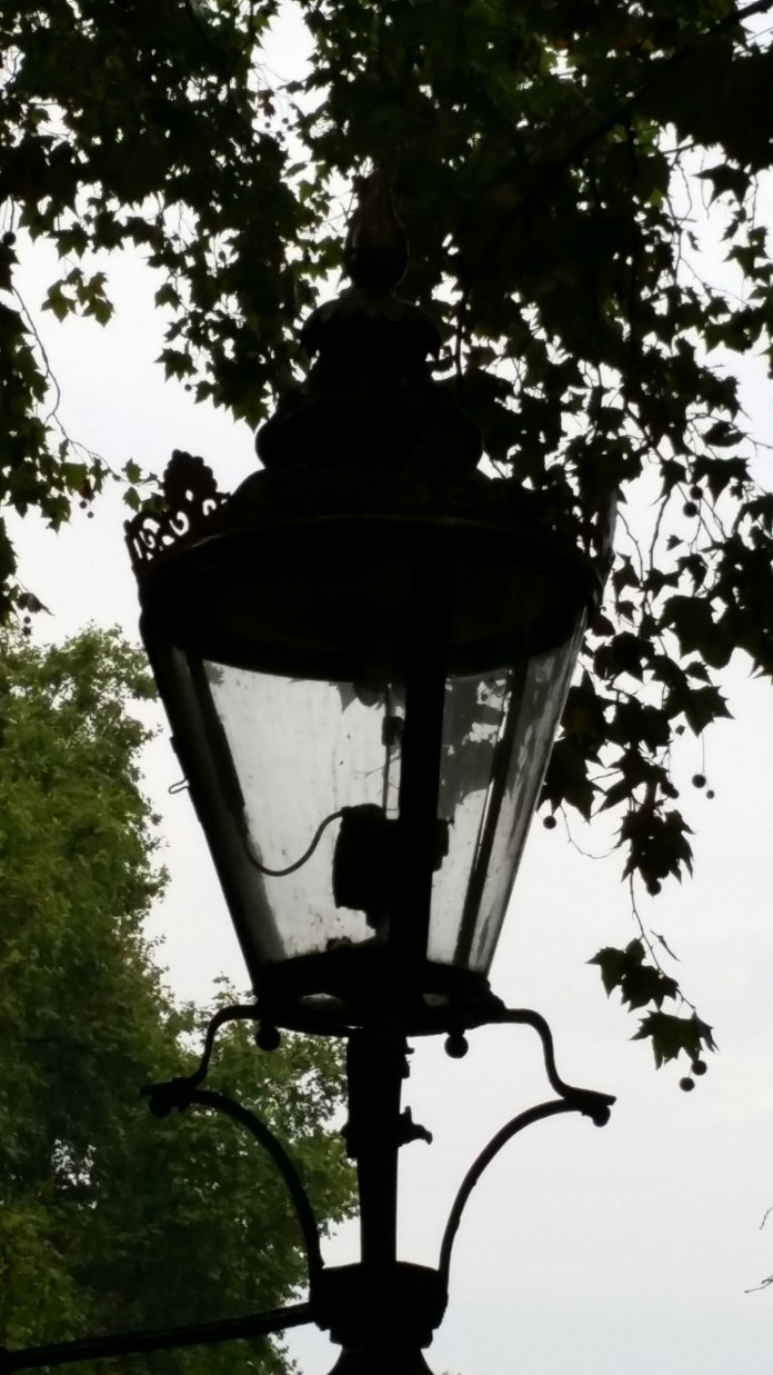 20140929_073536.jpg image