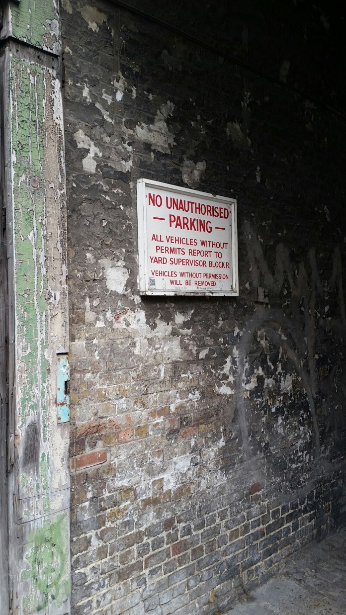 20141025_124600.jpg image