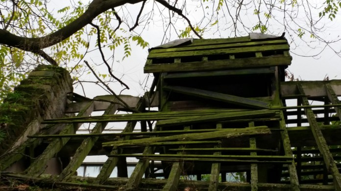 20141101_092512.jpg image