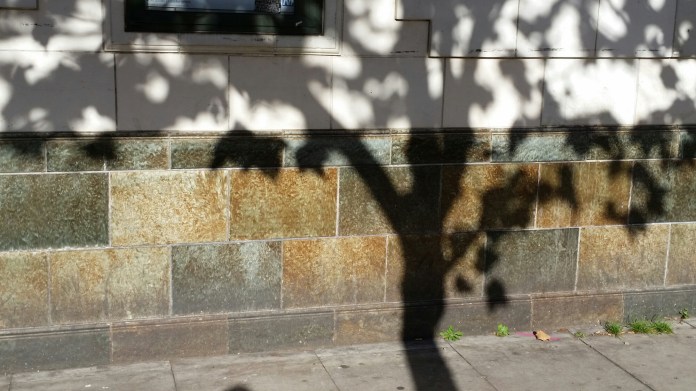 20141101_111636.jpg image