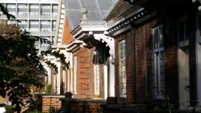 20141101_130853.jpg image