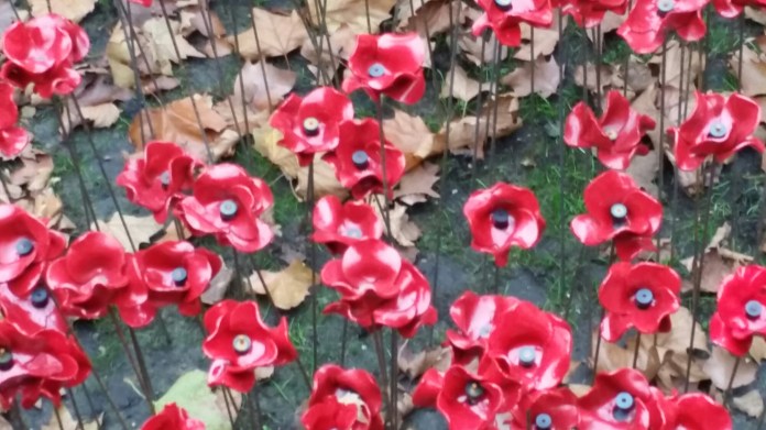 20141108_081211.jpg image