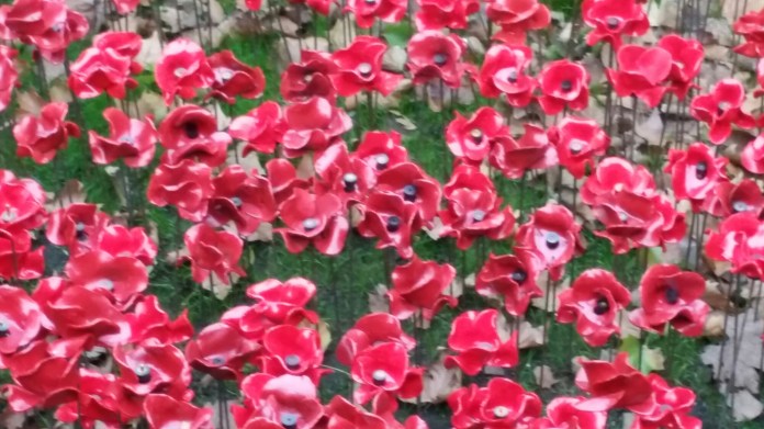 20141108_081226.jpg image