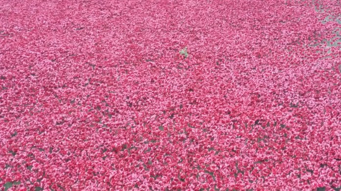 20141108_081946.jpg image