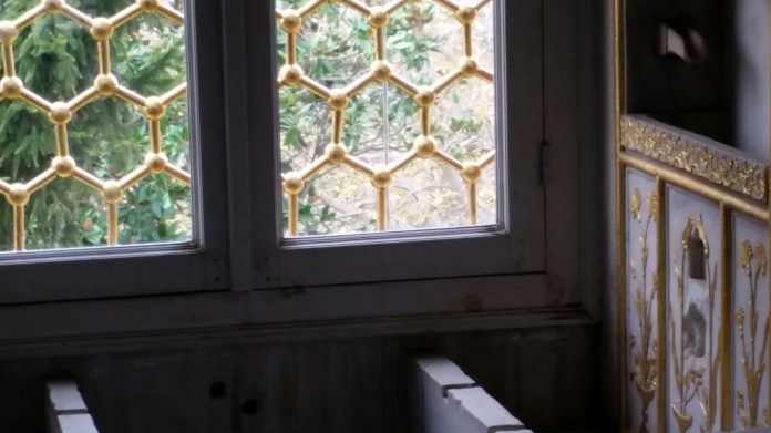 20141110_115028.jpg image