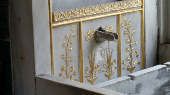 20141110_115039.jpg image