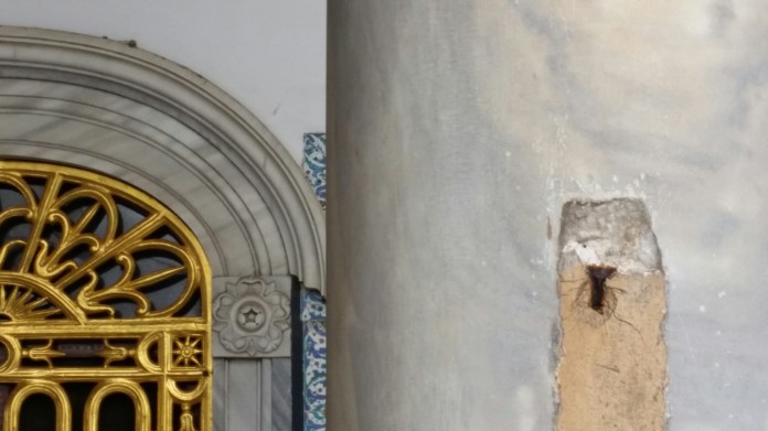 20141110_115702.jpg image