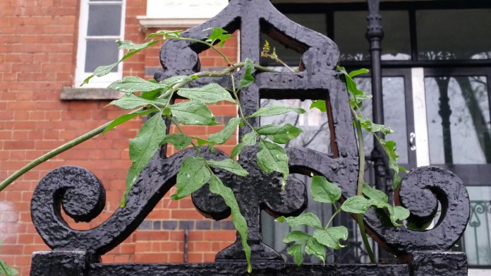 20141122_110945.jpg image