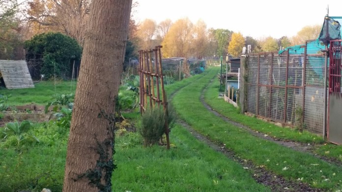 20141128_150610.jpg image