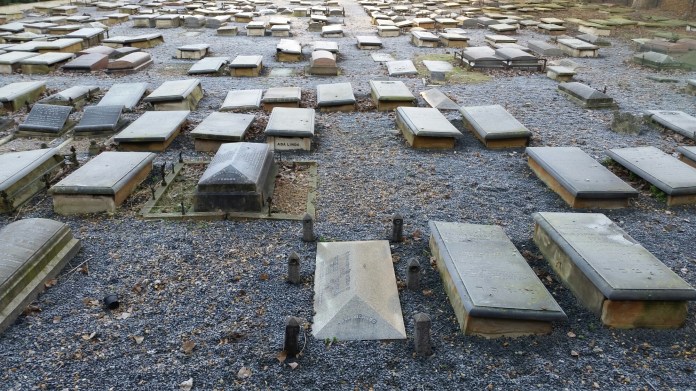 20141230_095204.jpg image