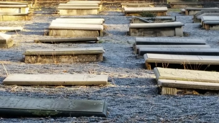 20141230_095526.jpg image