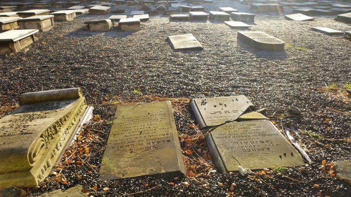 20141230_095657.jpg image