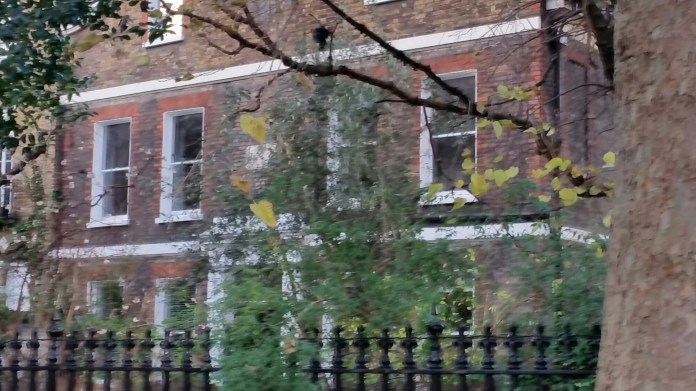 20150102_142435.jpg image