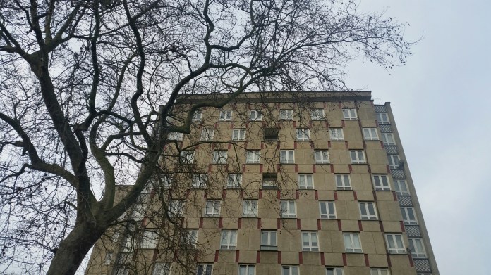 20150110_100157.jpg image