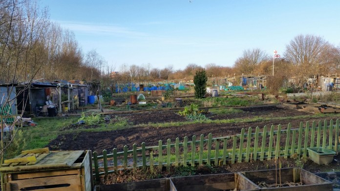 20150111_110230.jpg image