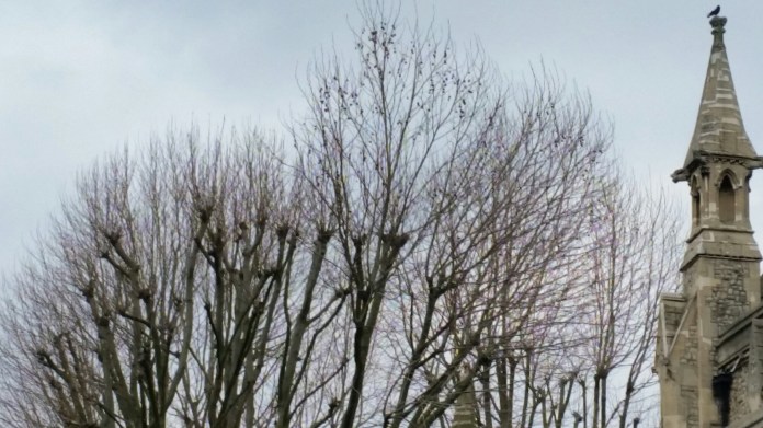 20150213_094425.jpg image