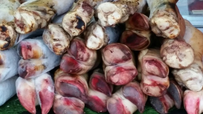 20150214_091039.jpg image