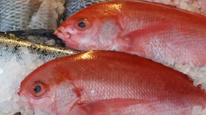 20150214_091127.jpg image