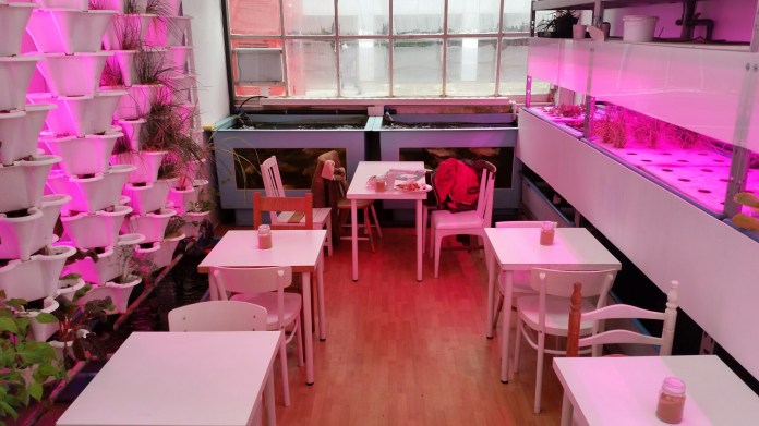 20150228_115346.jpg image