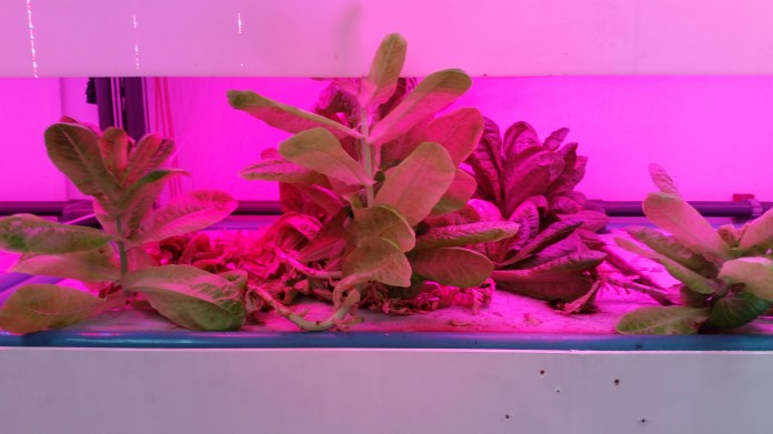 20150228_115403.jpg image