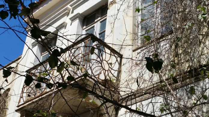 20150403_131328.jpg image