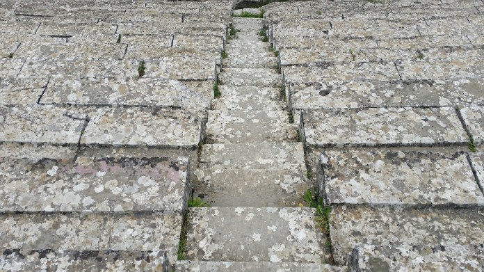 20150404_113934.jpg image