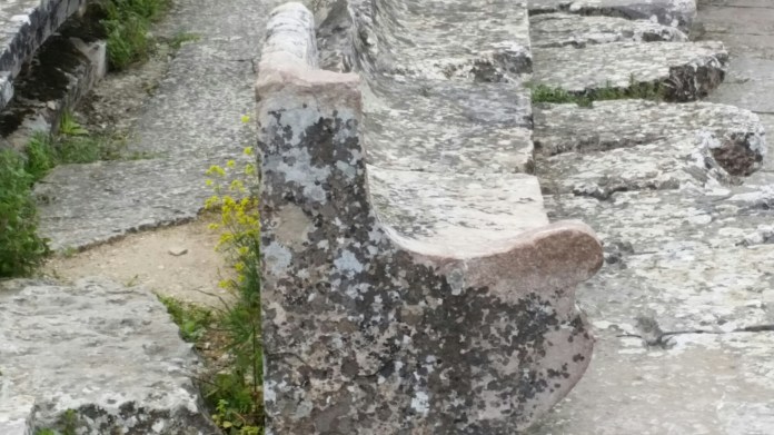 20150404_114250.jpg image