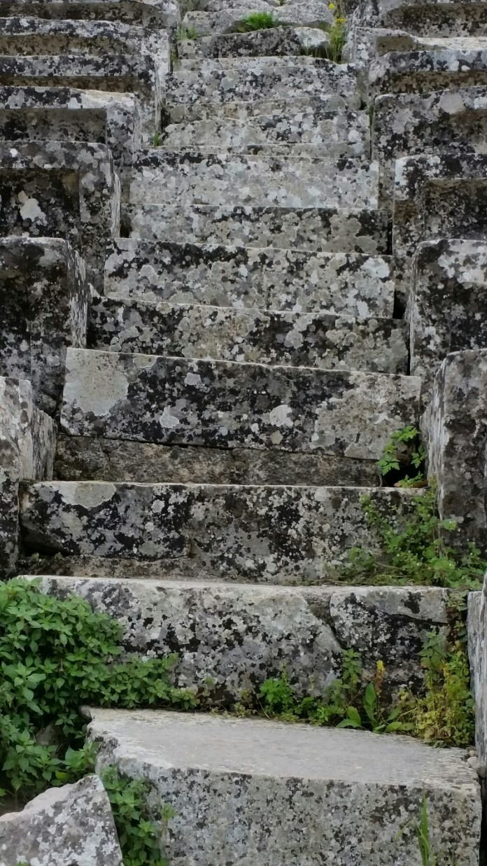 20150404_114348.jpg image