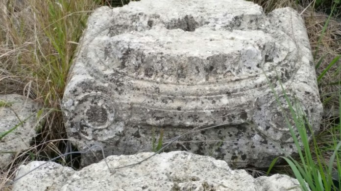 20150404_122747.jpg image