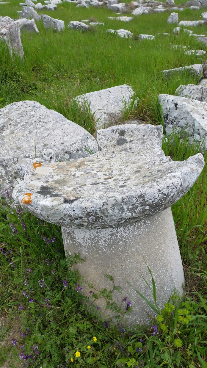 20150404_123425.jpg image