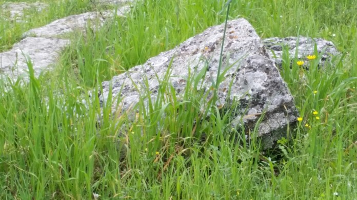 20150404_124505.jpg image