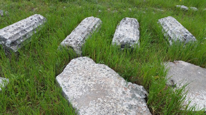 20150404_125029.jpg image