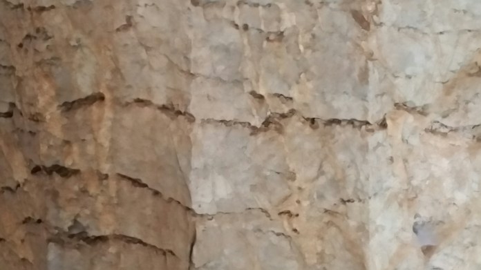 20150405_171139.jpg image