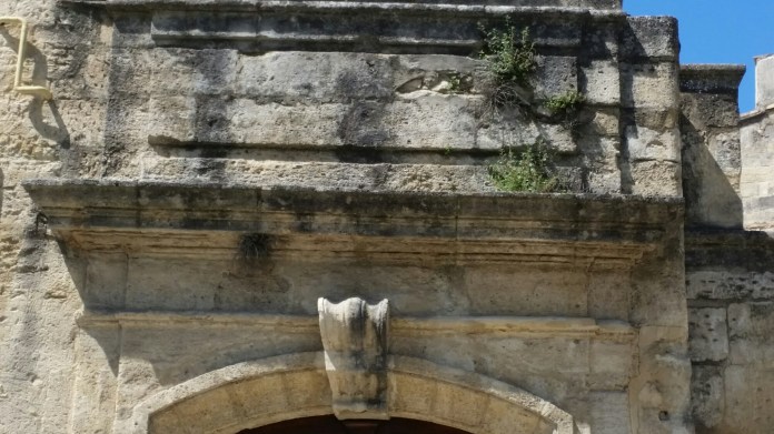 20150504_122530.jpg image