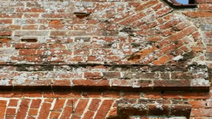 20150510_115822.jpg image