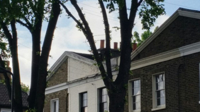 20150516_084242.jpg image