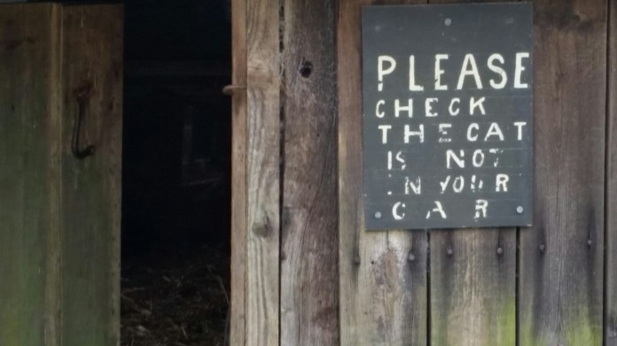 20150525_143652.jpg image