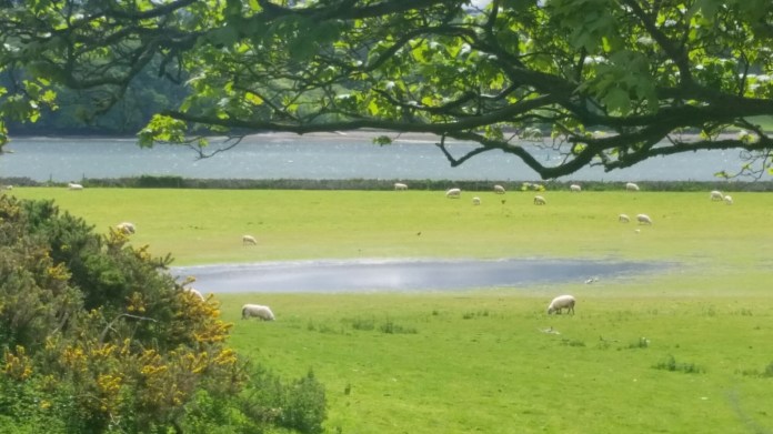 20150529_124953.jpg image