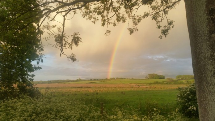 20150529_210005.jpg image