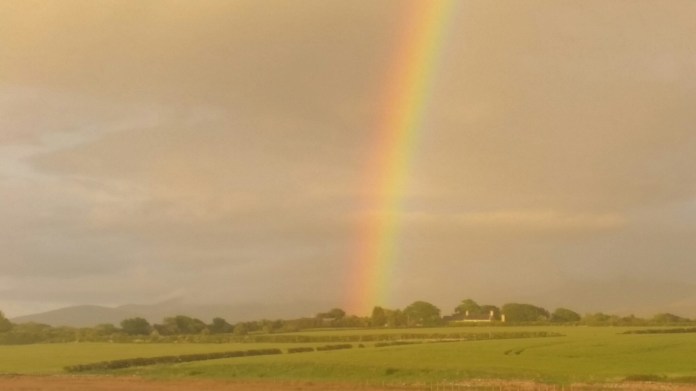 20150529_210026.jpg image