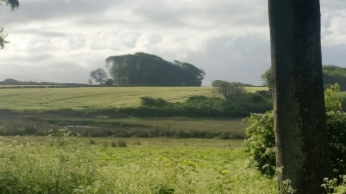 20150530_065624.jpg image