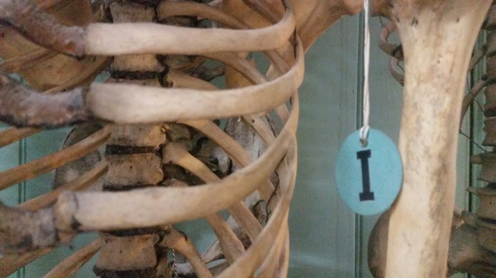 20150624_120257.jpg image