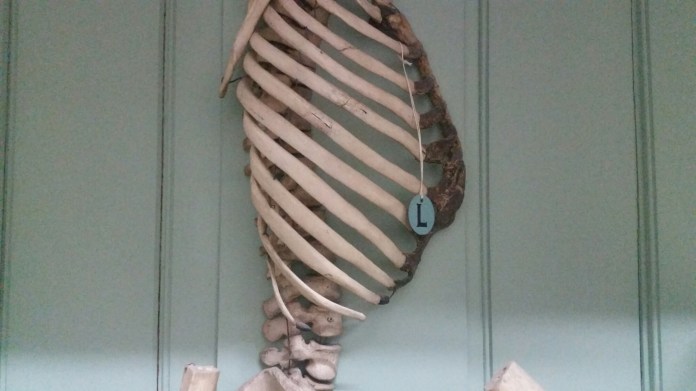 20150624_120319.jpg image