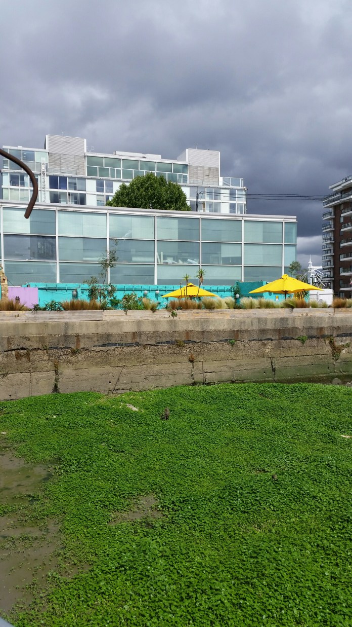 20150727_120005.jpg image