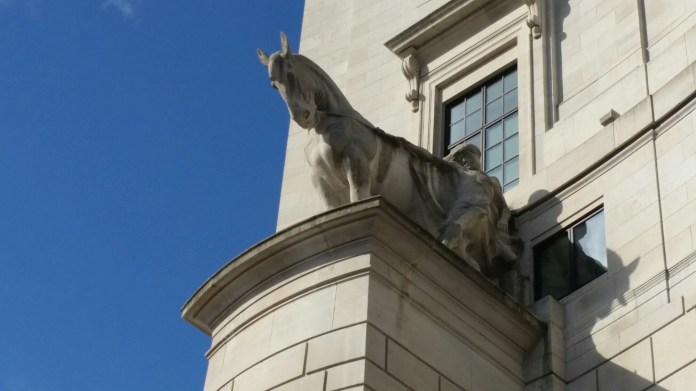 20150728_085816.jpg image