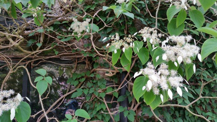 20150803_150556.jpg image