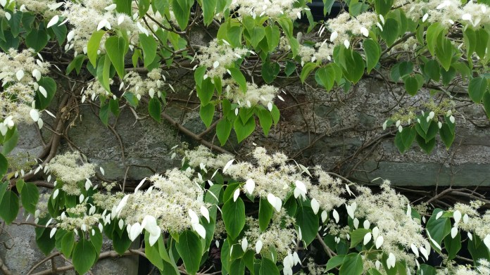 20150803_150612.jpg image