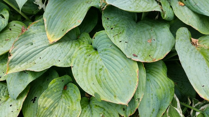 20150803_151746.jpg image