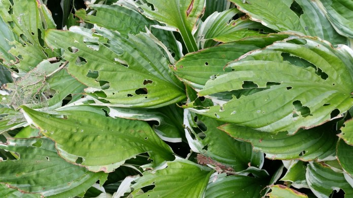 20150803_151816.jpg image